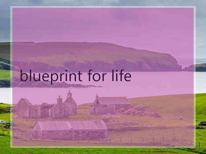 blueprint for life