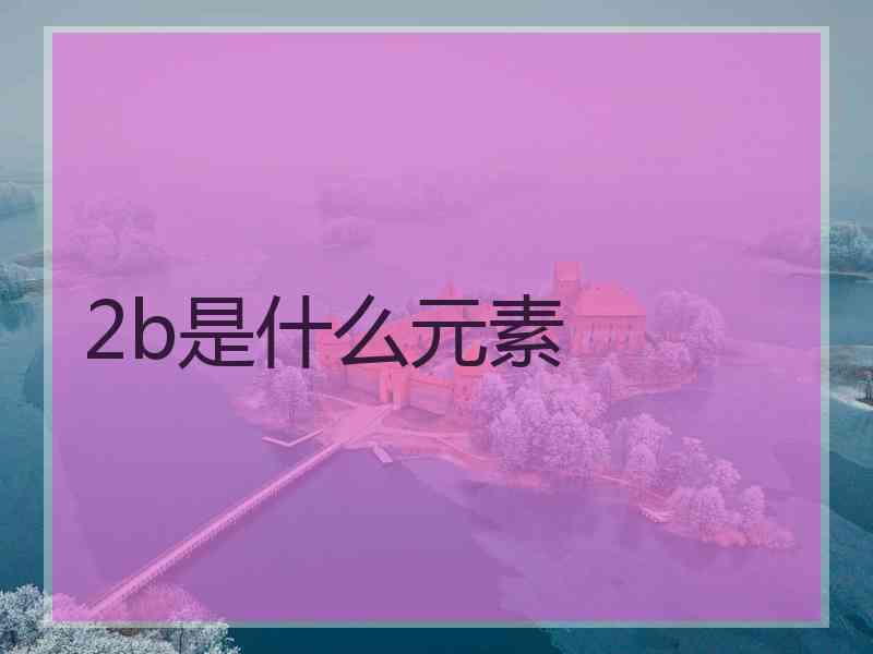 2b是什么元素