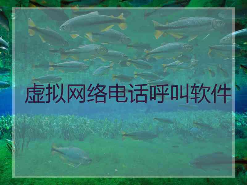 虚拟网络电话呼叫软件