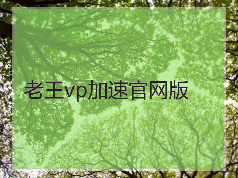 老王vp加速官网版