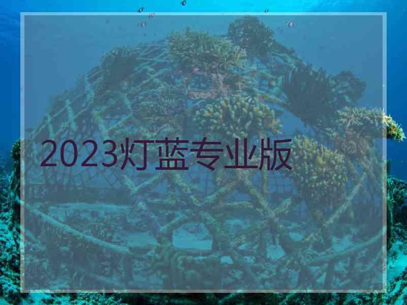 2023灯蓝专业版