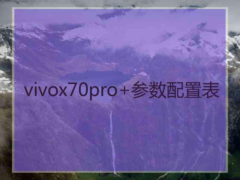 vivox70pro+参数配置表