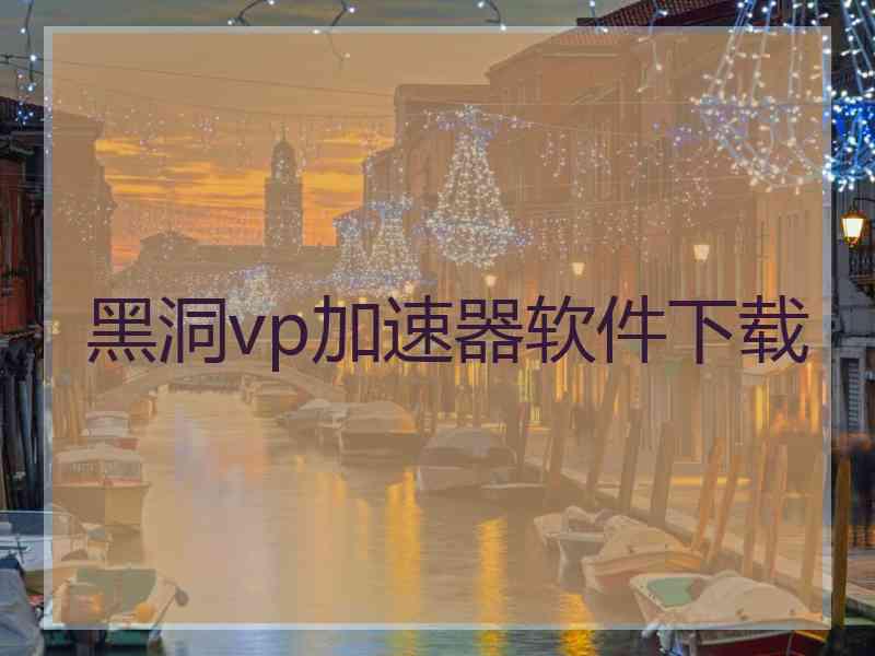 黑洞vp加速器软件下载