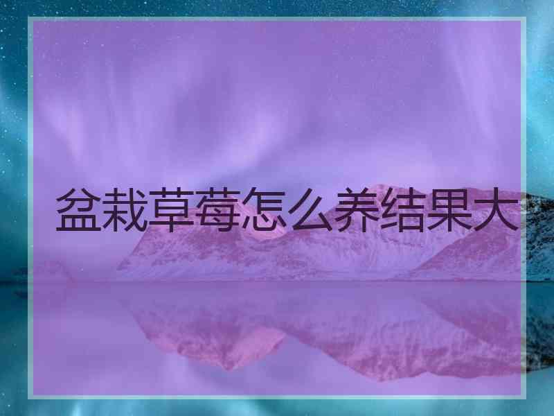 盆栽草莓怎么养结果大