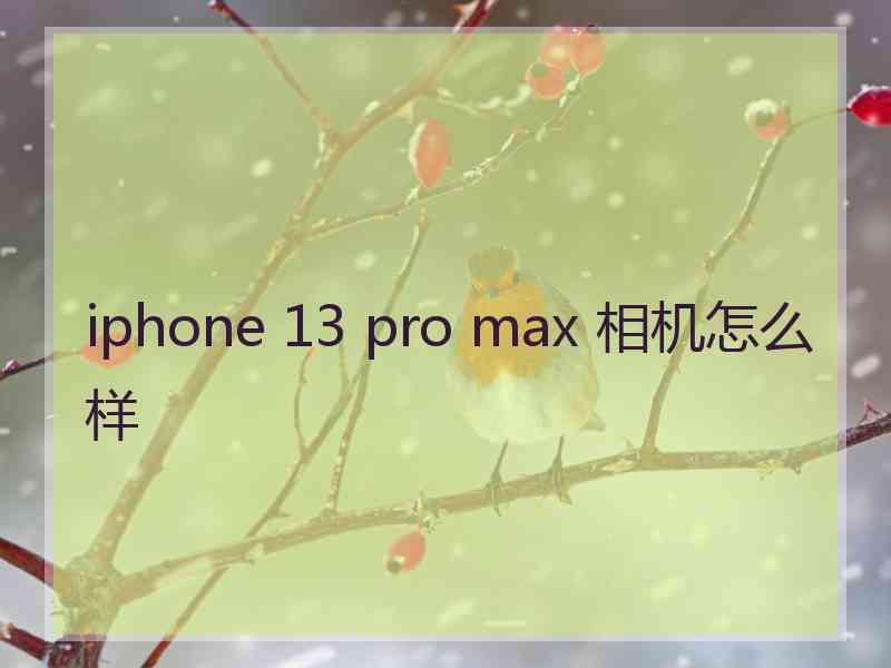 iphone 13 pro max 相机怎么样