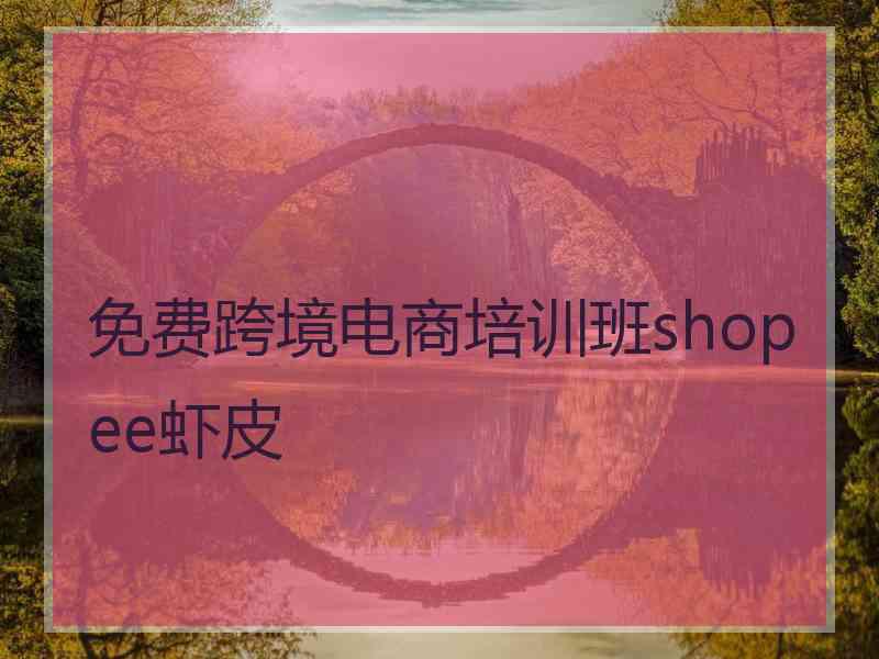 免费跨境电商培训班shopee虾皮