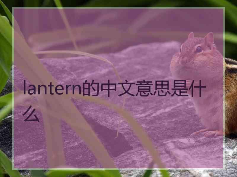 lantern的中文意思是什么