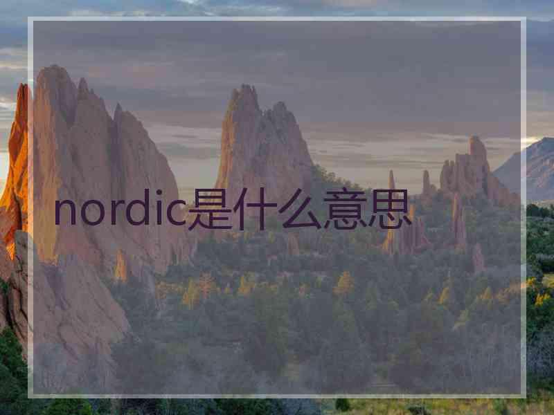 nordic是什么意思