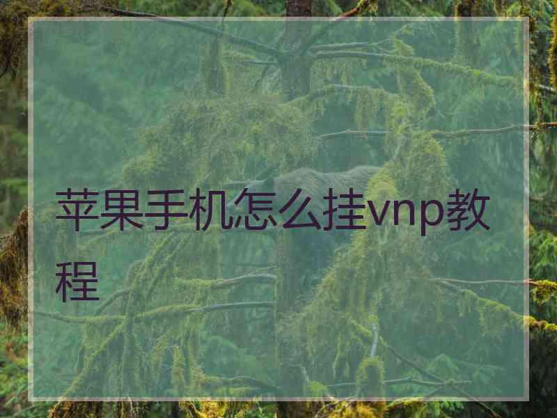 苹果手机怎么挂vnp教程