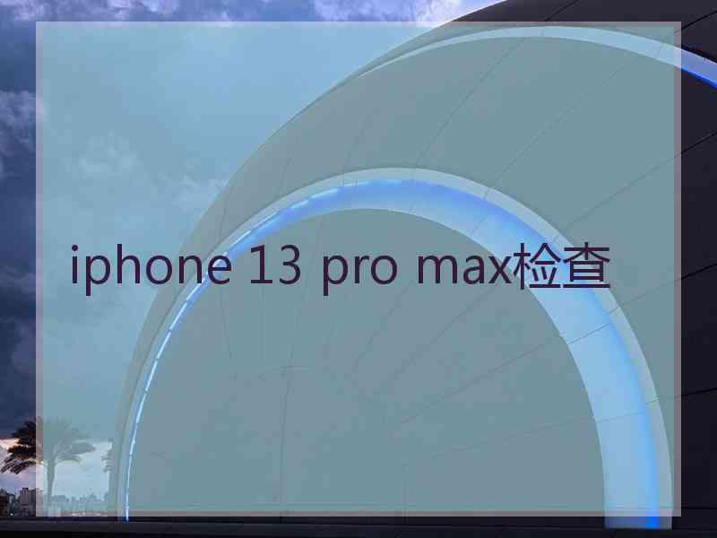 iphone 13 pro max检查