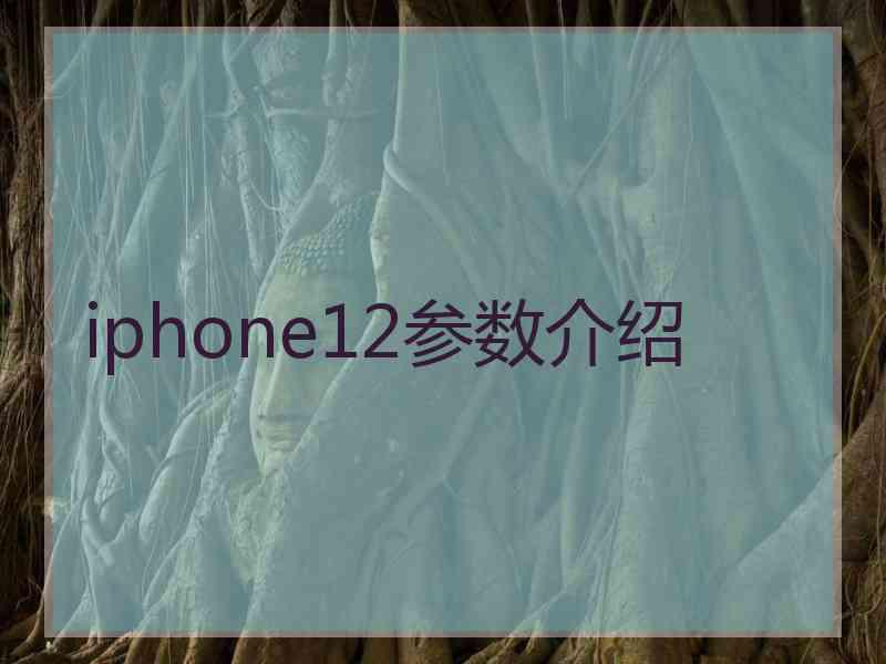 iphone12参数介绍