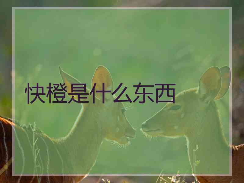 快橙是什么东西