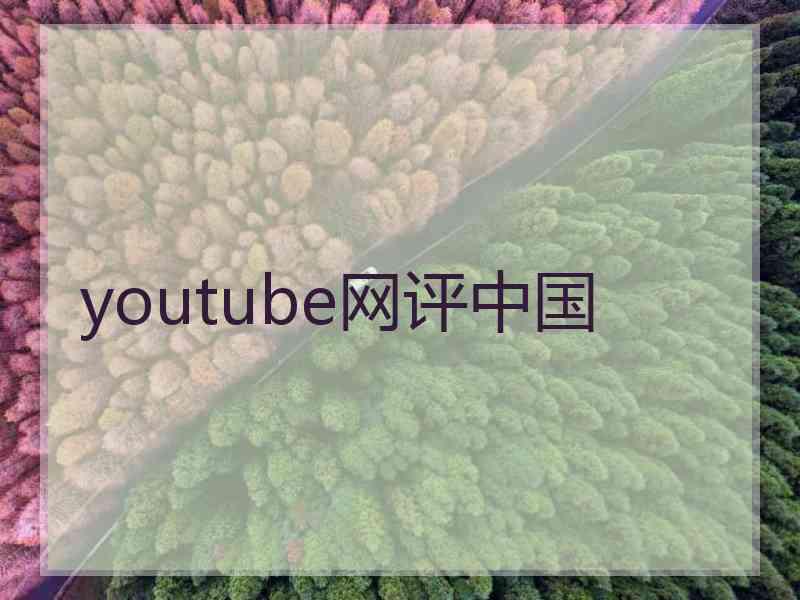 youtube网评中国