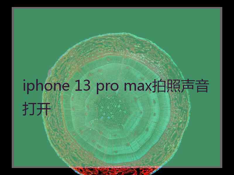 iphone 13 pro max拍照声音打开