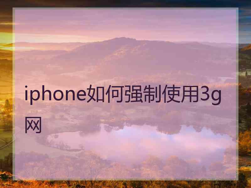 iphone如何强制使用3g网