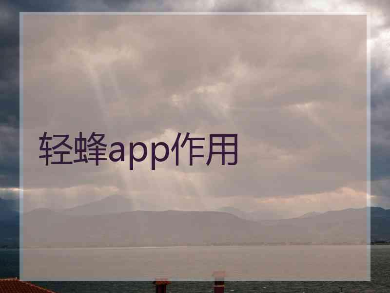 轻蜂app作用