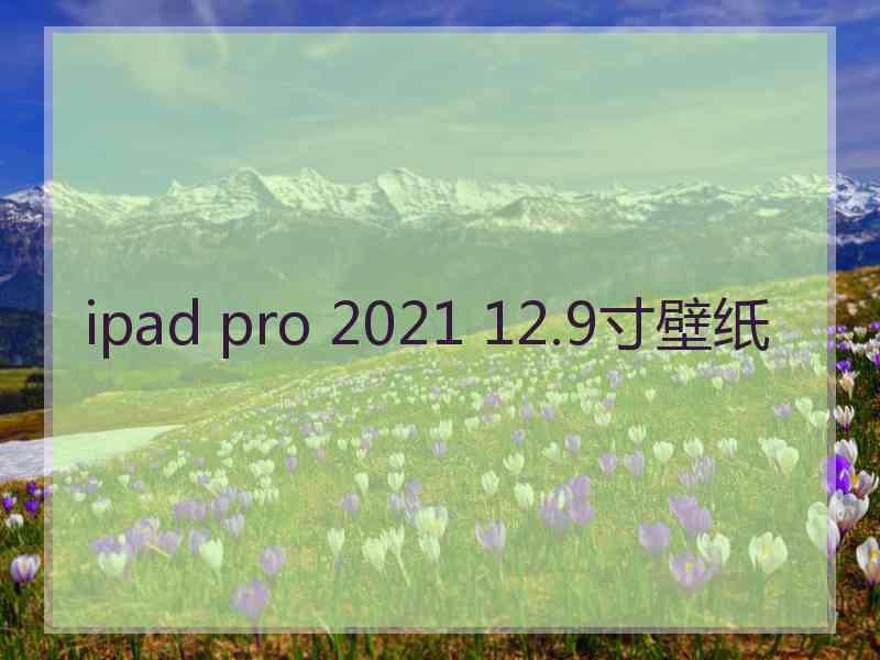 ipad pro 2021 12.9寸壁纸