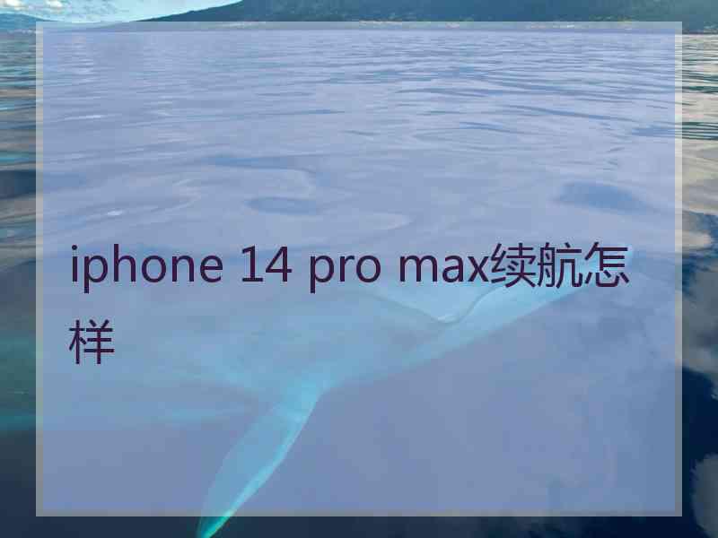 iphone 14 pro max续航怎样