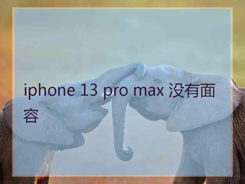 iphone 13 pro max 没有面容