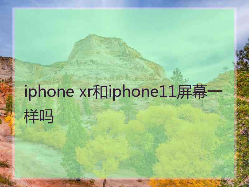 iphone xr和iphone11屏幕一样吗