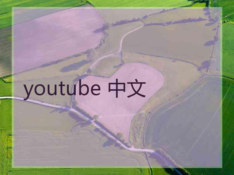 youtube 中文