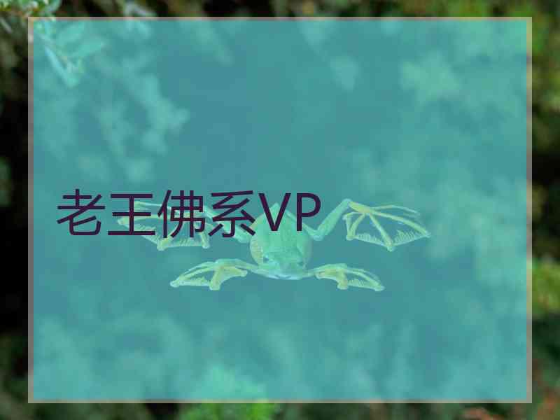 老王佛系VP