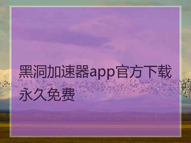 黑洞加速器app官方下载永久免费