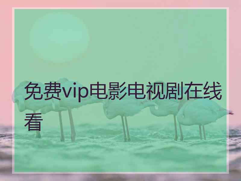 免费vip电影电视剧在线看