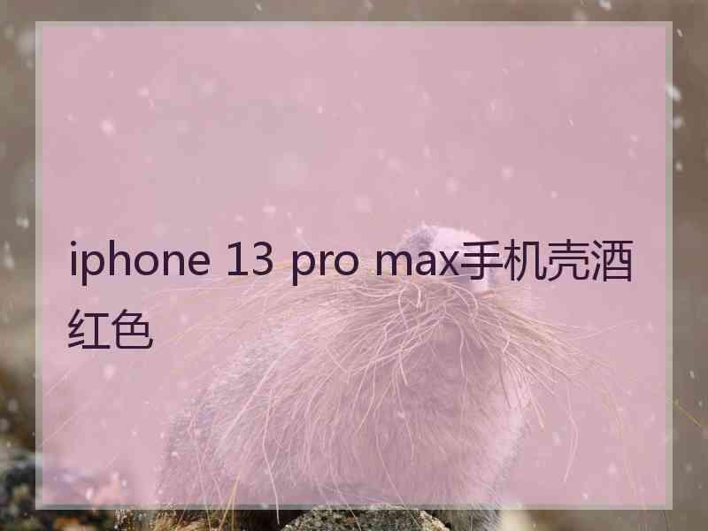 iphone 13 pro max手机壳酒红色