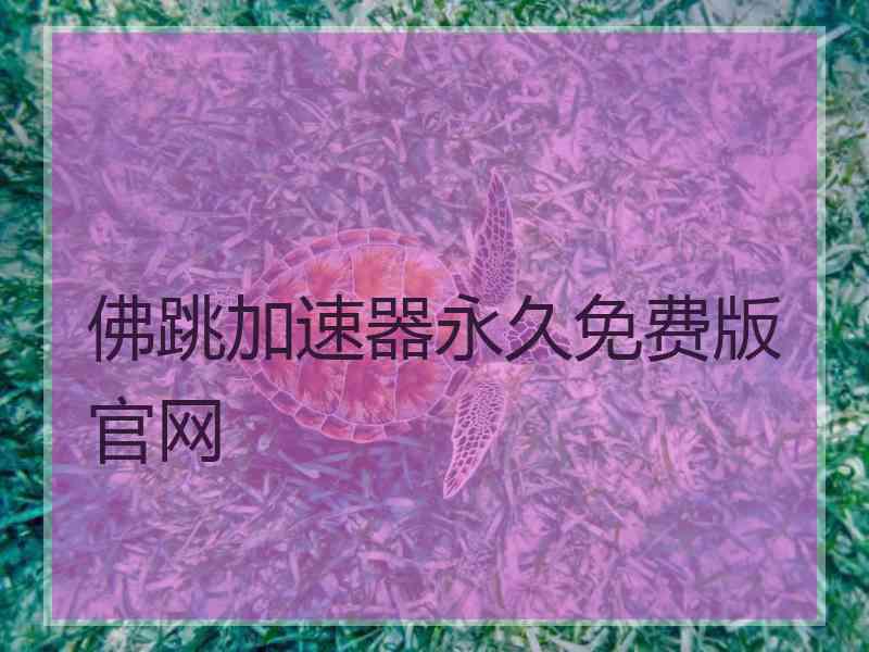 佛跳加速器永久免费版官网