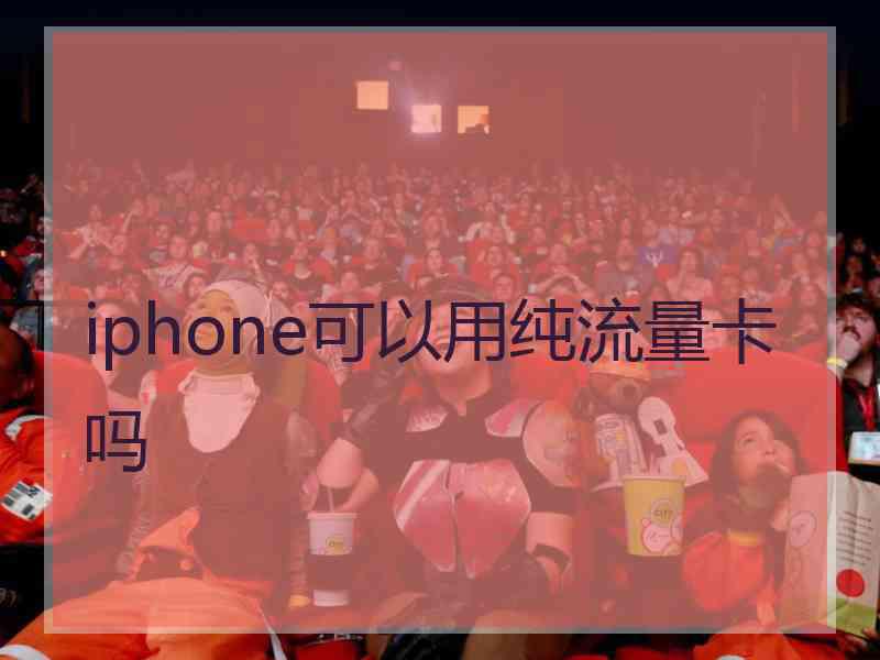 iphone可以用纯流量卡吗