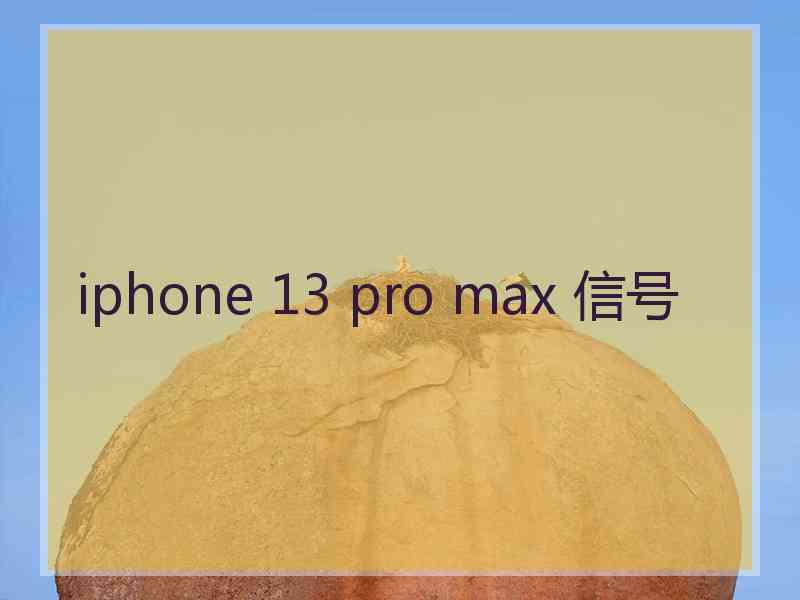 iphone 13 pro max 信号