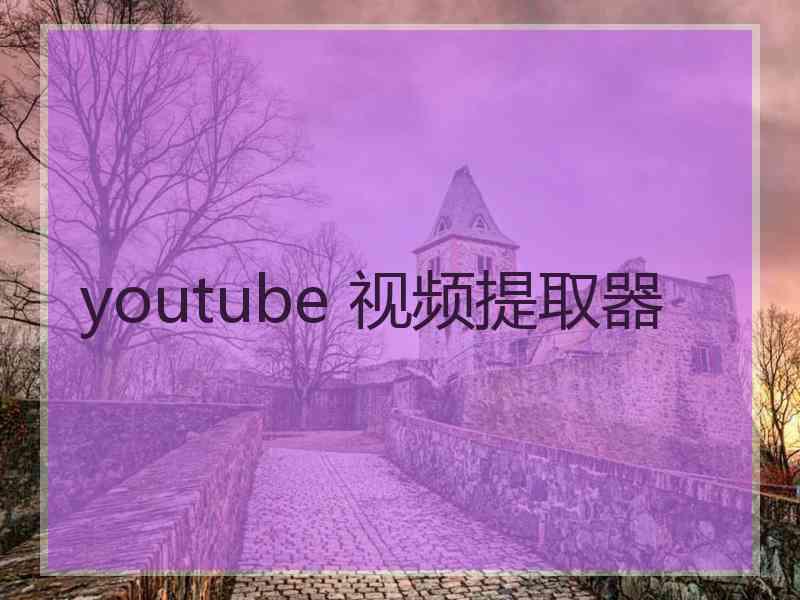 youtube 视频提取器