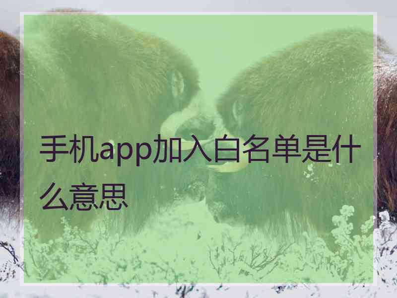 手机app加入白名单是什么意思