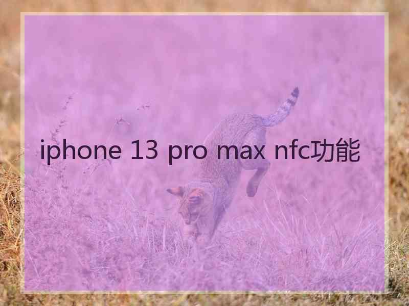 iphone 13 pro max nfc功能