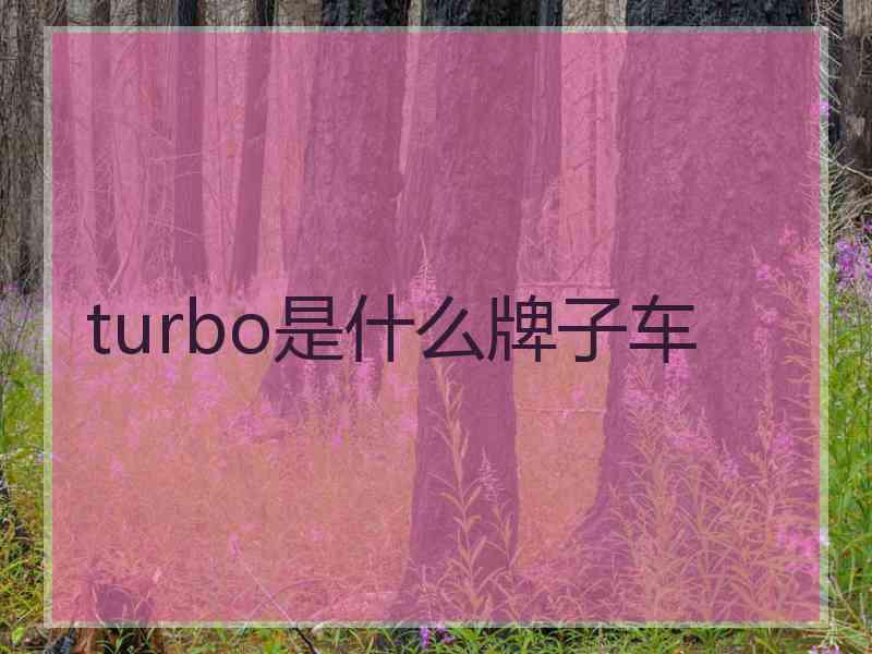 turbo是什么牌子车