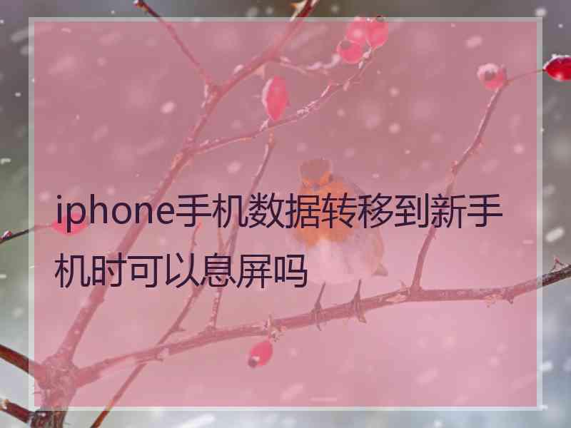 iphone手机数据转移到新手机时可以息屏吗