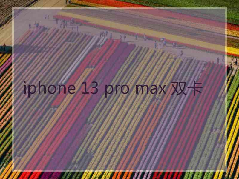 iphone 13 pro max 双卡