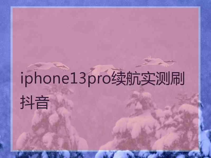 iphone13pro续航实测刷抖音