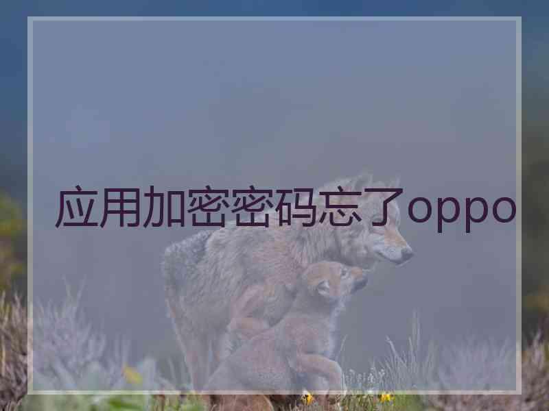 应用加密密码忘了oppo