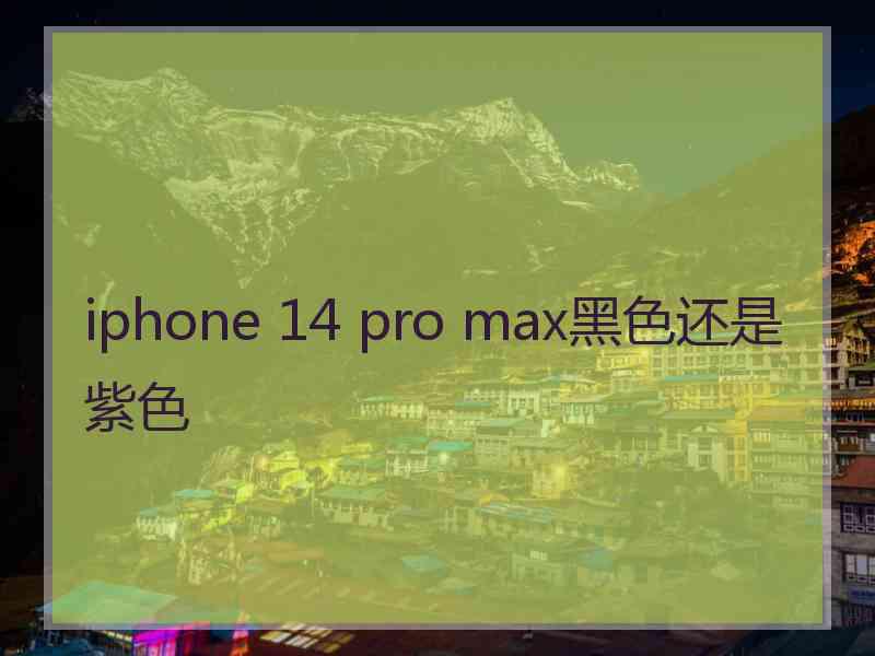 iphone 14 pro max黑色还是紫色