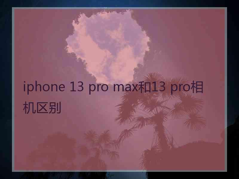 iphone 13 pro max和13 pro相机区别