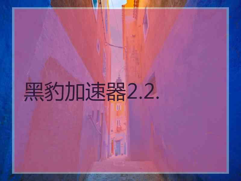 黑豹加速器2.2.