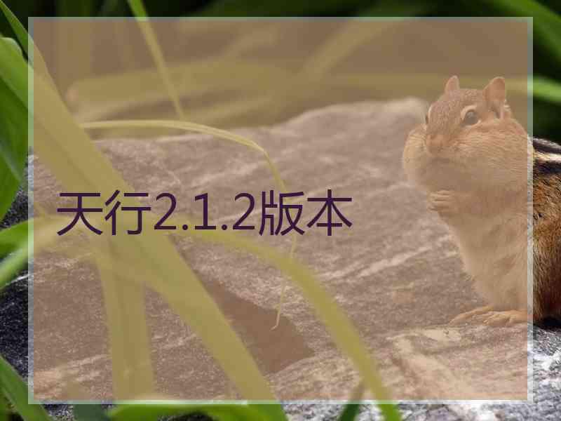 天行2.1.2版本