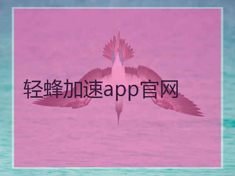 轻蜂加速app官网