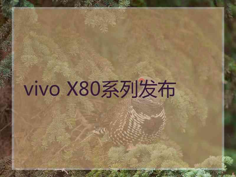 vivo X80系列发布