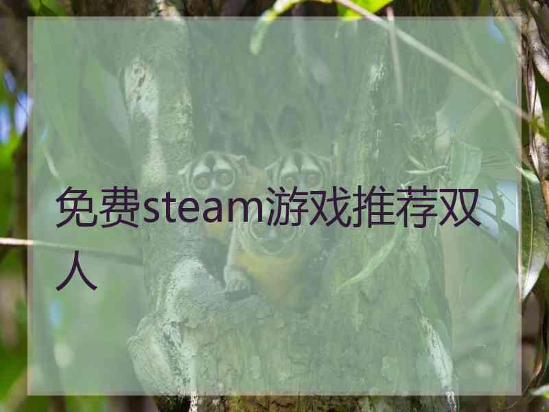 免费steam游戏推荐双人