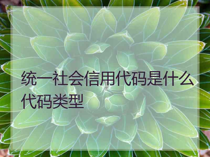 统一社会信用代码是什么代码类型