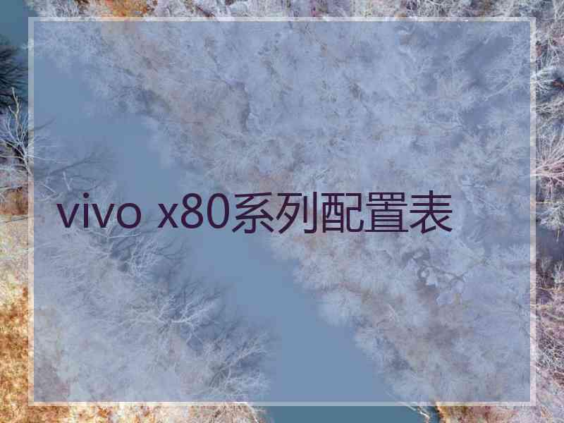 vivo x80系列配置表