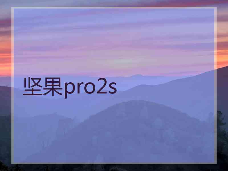 坚果pro2s